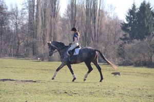 Training im Gelände