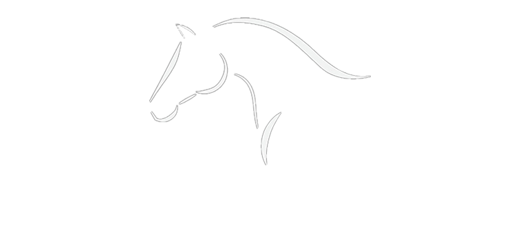 Nicole Wichmann – Mobiler Reitunterricht und Beritt