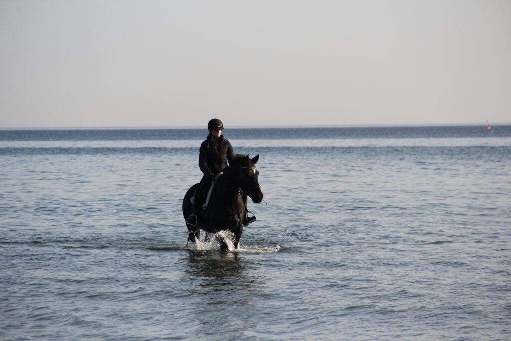 Reiten am Meer